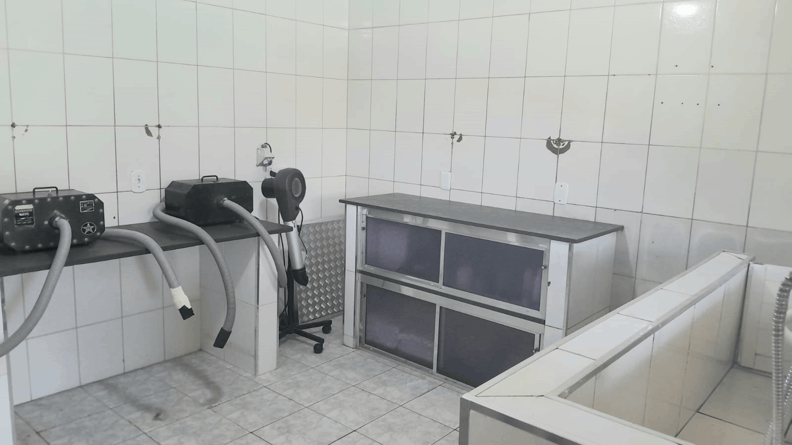 galeria de fotos da clinica veterinaria dra mariane ferrara atuando na cidade de Jarinu