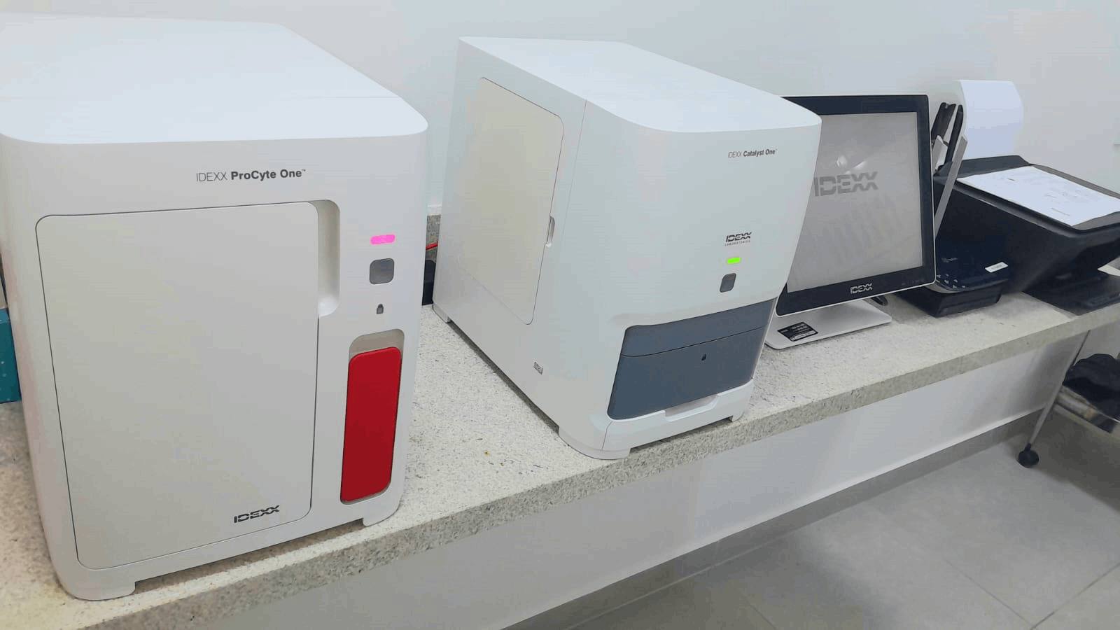 galeria de fotos da clinica veterinaria dra mariane ferrara atuando na cidade de Jarinu