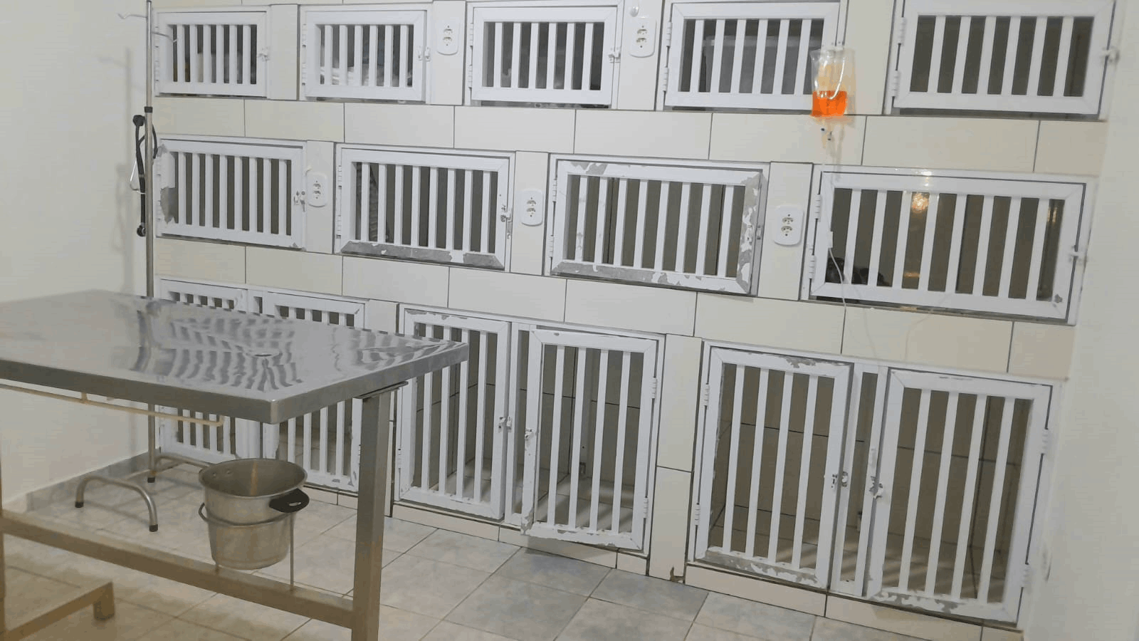 galeria de fotos da clinica veterinaria dra mariane ferrara atuando na cidade de Jarinu