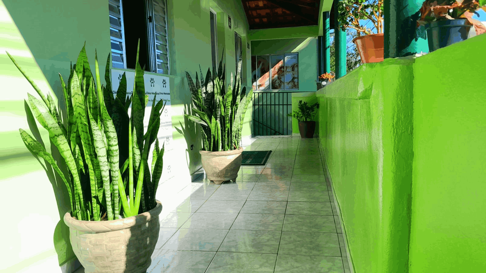 galeria de fotos da clinica veterinaria dra mariane ferrara atuando na cidade de Jarinu