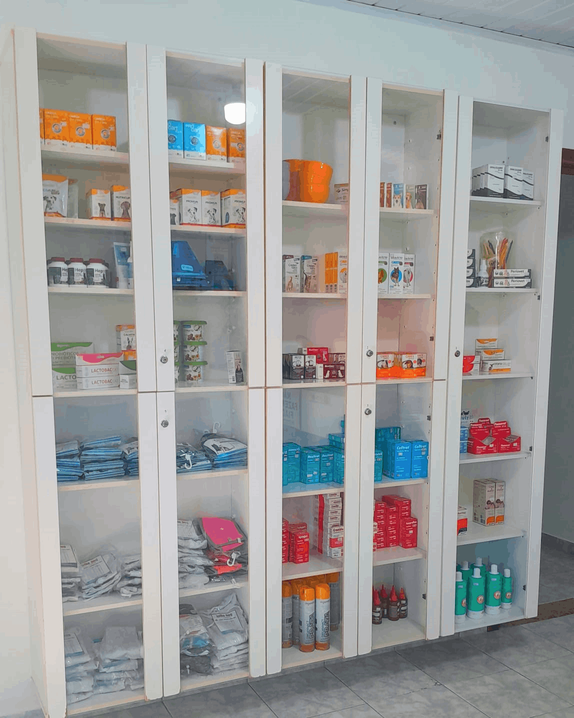 galeria de fotos da clinica veterinaria dra mariane ferrara atuando na cidade de Jarinu